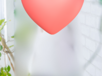 薬剤師さんがご成婚